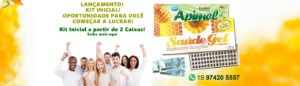Kit Inicial Apimel